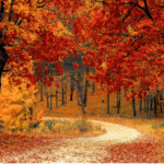 Fall in Love with Your Inner-Self this October 2024
