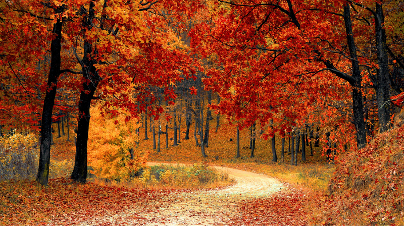 Fall in Love with Your Inner-Self this October 2024